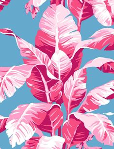 pink and white leaves on a blue background