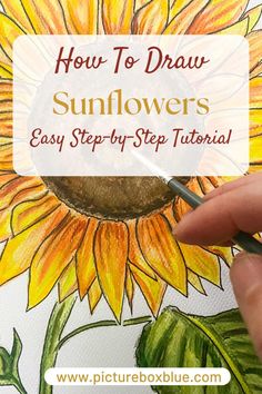 how to draw sunflowers easy step by step