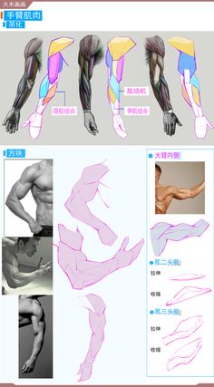 an image of the arm and leg muscles in chinese text, with instructions on how to draw