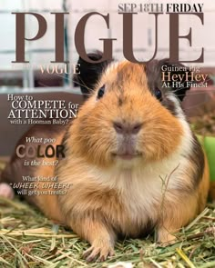 a magazine cover with a small rodent on it