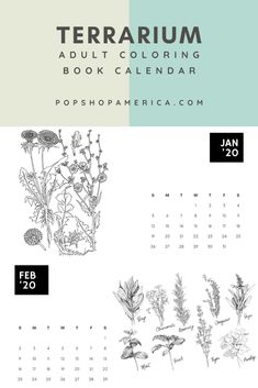 the calendar for terrarium is shown in black and white, with plants on it