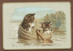 two cats are sitting in a boat on the water and one is holding a paddle