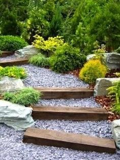 a garden with stone steps and trees