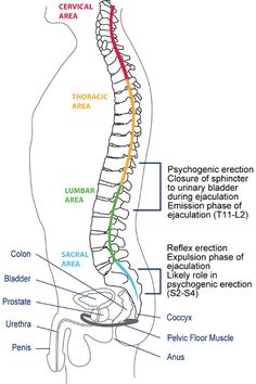 Nerve Damage