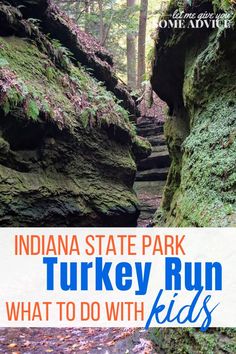 the indiana state park turkey run what to do with kids is an easy and fun activity