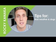 a man in grey shirt and green background with the words tips for bad weather & dogs