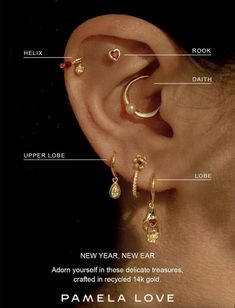 an ear with different types of jewelry on it and labeled in the words, pamela love