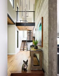 a dog is sitting on the stairs in this modern house with wood flooring and white walls