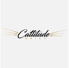 the logo for cattitude daily