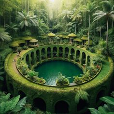 a circular pool surrounded by lush green plants and trees in the middle of a forest