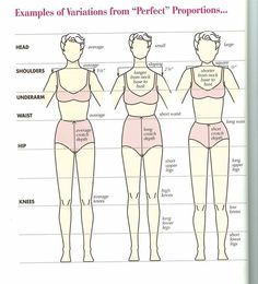 Body Type Quiz, Clothing Fabric Patterns, Silk Ribbon Embroidery Patterns, Tailoring Details, Body Measurement Chart, Fashion Design Books, Fashion Vocabulary, Body Proportions, Soft Classic