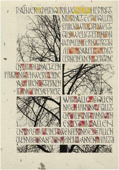 an image of a tree with many words written on the branches in red and black