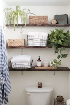 the bathroom is clean and ready to be used as a place for plants, toilet paper, and other things