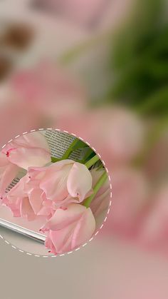 pink tulips are in the reflection of a mirror