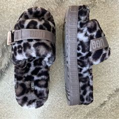 Never Used! Brand New! Platform Slipper. Women’s Size 8 Come In Original Box Ugg Fluffita, Ugg Slip Ons, Purple Slippers, Ugg Dakota Slippers, Tall Uggs, Panther Print, Ugg Tasman Slippers, Shoes Ugg, Shearling Slippers