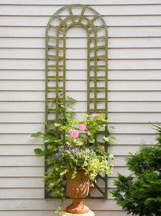 a potted plant with flowers in front of a house