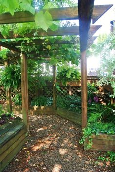 an outdoor garden with lots of trees and plants on the ground, including trelliss