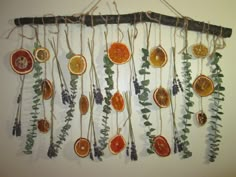 a group of oranges hanging on a wall with vines and leaves attached to them