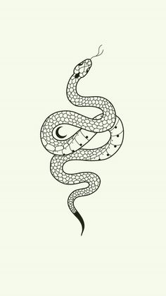 a drawing of a snake on a white background