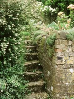 an old stone wall with steps leading up to it and flowers growing on the side