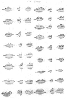 a bunch of different shapes and sizes of lips