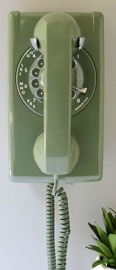 an old green phone is hanging on the wall next to a potted pineapple