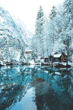 snow covered mountains and trees surrounding a river