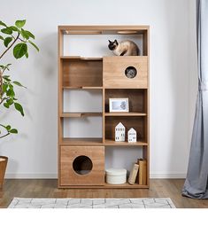 a cat sitting on top of a wooden shelf