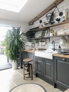 a kitchen filled with lots of green plants and potted plants next to a sink