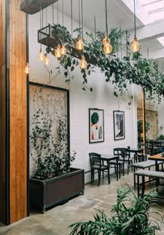 an indoor dining area with plants and hanging lights