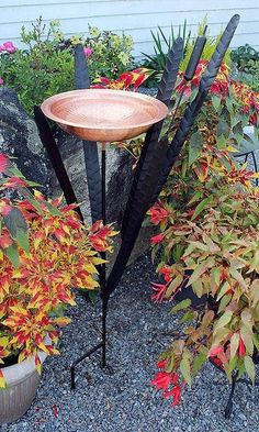 a bird bath surrounded by plants and rocks