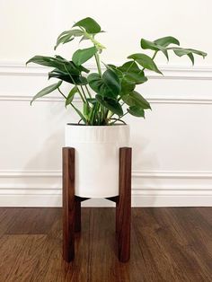 a potted plant sitting on top of a wooden stand