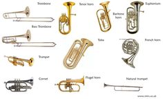 an image of musical instruments labeled in english and french horn, cornet, trumpet, trombone