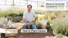 a man kneeling down in the dirt next to plants and seeding supplies with text overlay that reads how to plant shrubs