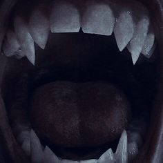 an animal with its mouth open showing teeth and large fangs on it's face