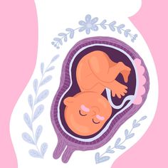 an illustration of a baby in the stomach with its mother's breast and child's head