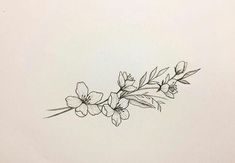 a black and white drawing of some flowers