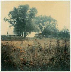 an old photo of a field with trees in the background