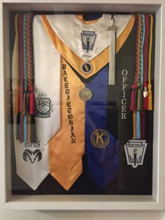 a group of different colored ties hanging in a frame on the wall next to each other