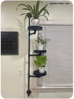 a shelf with plants on it next to a window