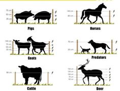 the different types of animals that can be seen in this graphic, which shows how they are