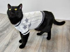 a black cat wearing a white sweater on top of a wooden floor next to a wall