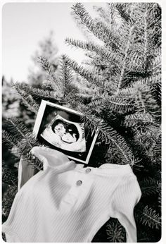 Farm Baby Announcement, Farm Maternity Shoot, Christmas Maternity Photoshoot, Winter Baby Announcement, Christmas Photos Family, Poses Christmas, Tree Farm Photos