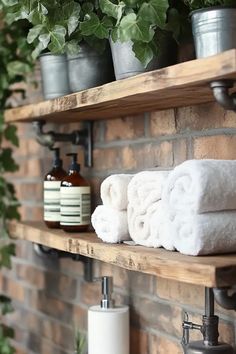 A stylish bathroom featuring industrial shelving adorned with greenery, showcasing an eclectic blend of designs that inspire creativity and charm.