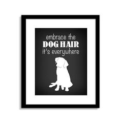 an image of a dog with the words embrace the dog hair it's everywhere