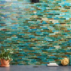 a kitchen counter topped with a potted plant next to a wall covered in multicolored tiles