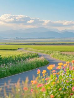 an empty road in the middle of a field with wildflowers on either side