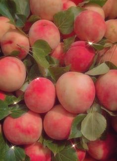 a bunch of peaches with green leaves on them