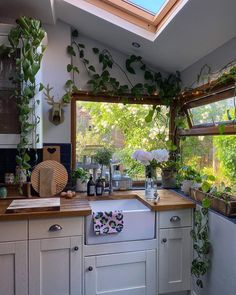 a kitchen filled with lots of plants next to a window covered in greenery and potted plants