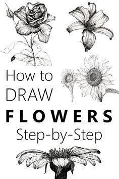 the cover of how to draw flowers step - by - step with pictures of flowers